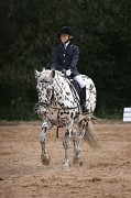 IMG_0095