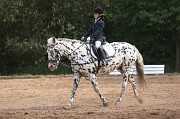 IMG_0099
