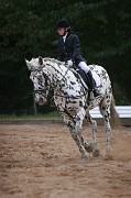 IMG_0103