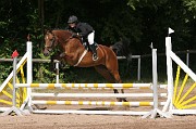 IMG_0006