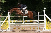 IMG_0081