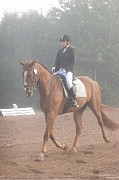 IMG_0006
