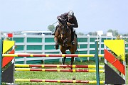 IMG_0113