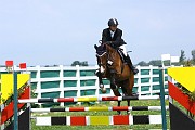IMG_0003