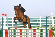 IMG_0014
