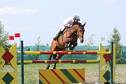 IMG_0010