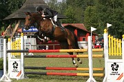 IMG_0010