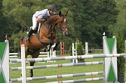 IMG_0003