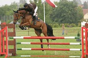 IMG_0078