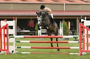 IMG_0006