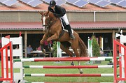 IMG_0034