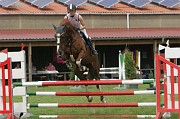 IMG_0049