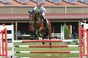 IMG_0067