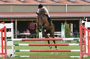 IMG_0077