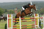 IMG_0015