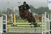 IMG_0035