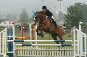 IMG_0011