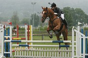 IMG_0037