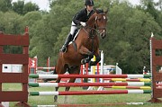 IMG_0008