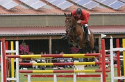 IMG_0001