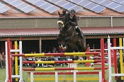 IMG_0006