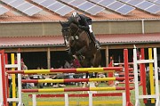 IMG_0011