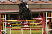 IMG_0017
