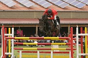 IMG_0026