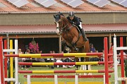 IMG_0037