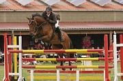 IMG_0053