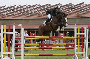 IMG_0049
