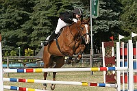 IMG_0048