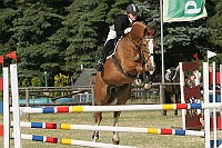 IMG_0087