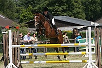 IMG_0046