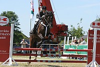 IMG_0071
