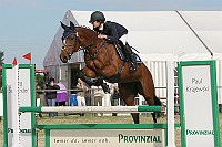 IMG_0008
