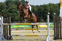 IMG_0041
