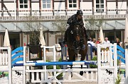 IMG_0003