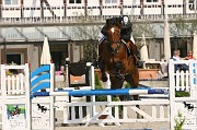 IMG_0019