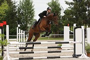 IMG_0084