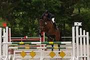 IMG_0101