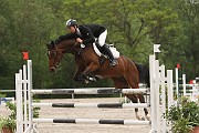IMG_0081