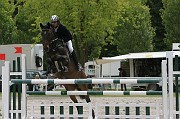 IMG_0036