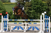 IMG_0071