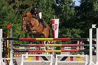 IMG_0019
