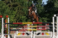 IMG_0021