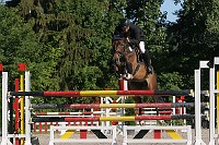 IMG_0031