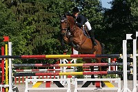 IMG_0061
