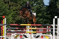 IMG_0087