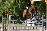 IMG_0017